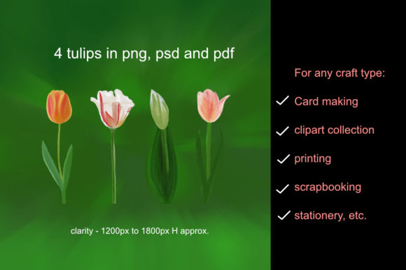 Elevating Digital Design with the Floral Collection Watercolor Tulips
