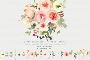 Vanilla and Blush Watercolor Floral Set: Elevating Creative Projects with Soft Elegance